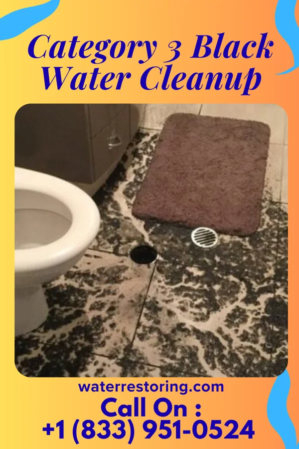 Category 3 Black Water Cleanup in Humphreys, MO